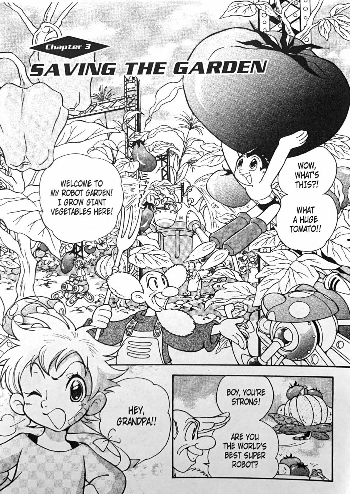 Saving the Garden page 0