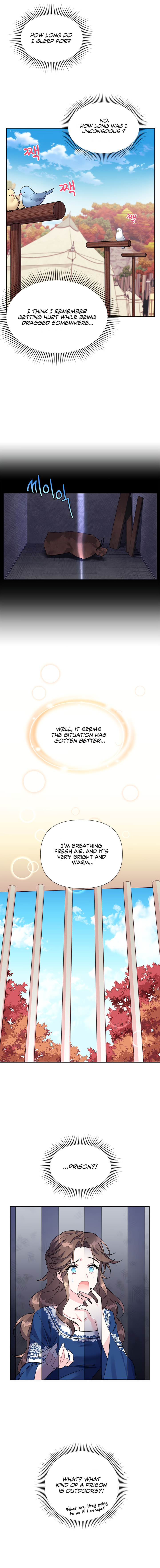 The Falcon Princess – Chapter 1 page 10