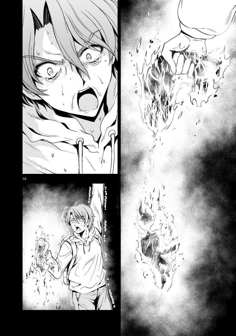 Capture page 13