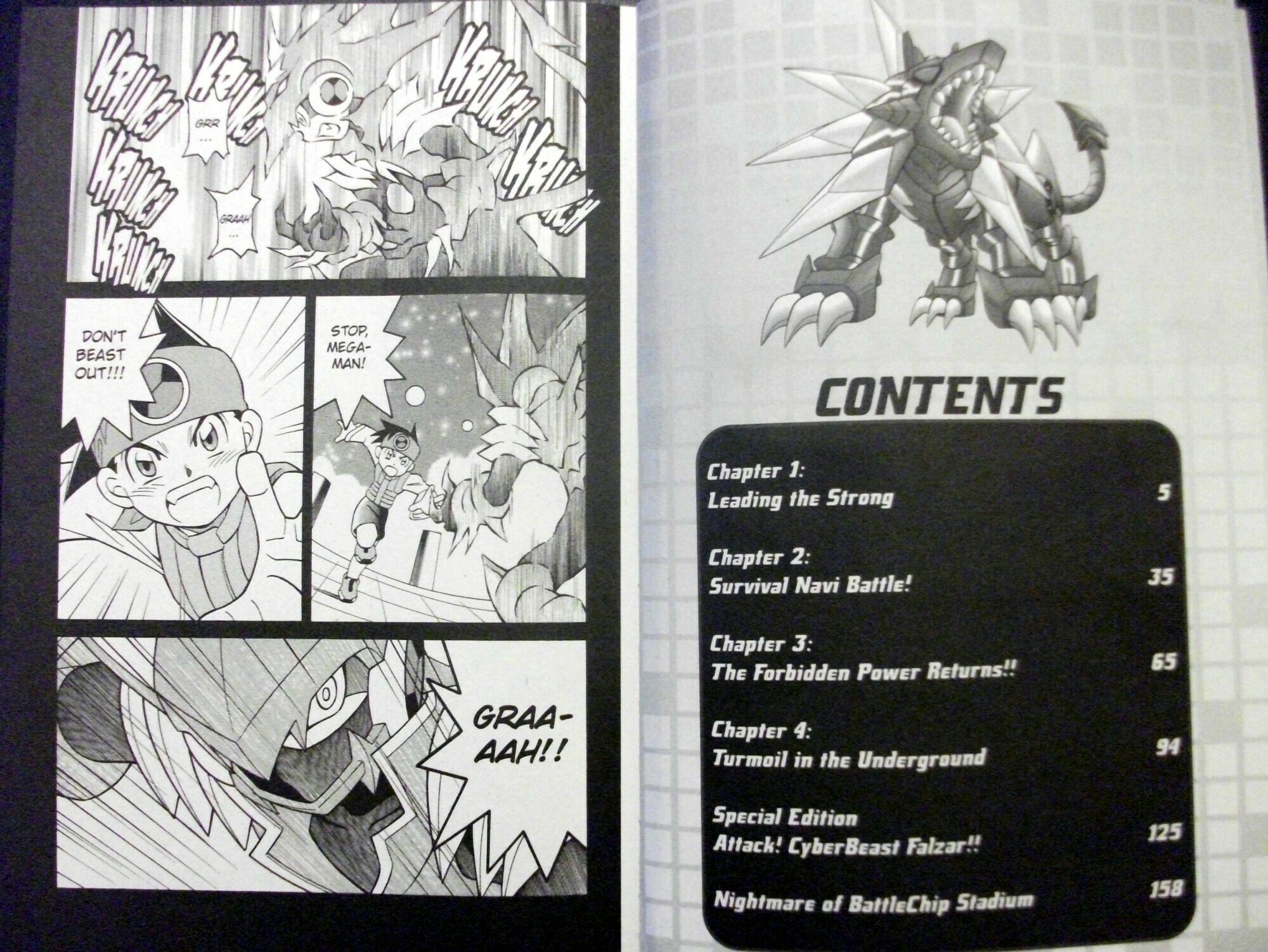 Leading the Strong page 0
